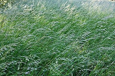 《聚点危机 英雄联盟外传》预告片 年内发售